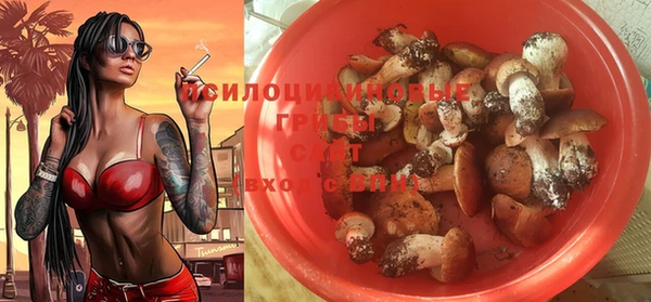 синтетический гашиш Вяземский