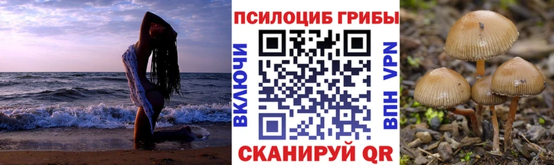 Галлюциногенные грибы Cubensis  Красноярск 